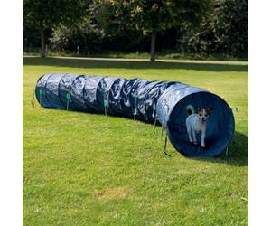 Túnel Basic Agility ⵘ