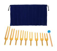 Tuning Forks Chakra Set, Acero Inoxidable Tuning Fork 174Hz/285Hz/396Hz/417Hz/528Hz/639Hz/741Hz/852Hz/963Hz, 9 Chakras + 1 Soul Purpose Tuning Forks Striker Y Estuche Incluidos