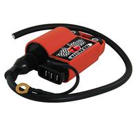 Tuning Racing CDI compatible con Zip 50 de 2 tiempos (todos, por ejemplo, Zip 1, 2, SP, Base, RST, Fast Rider) (CDI tiene bobina de encendido integrada).
