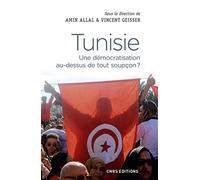 Tunisie: Une démocratisation au-dessus de tout soupçon ?
