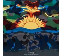 Tunng - Songs You Make at Night [Vinilo]