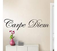 TUOQIANNAN Pegatina de pared extraíble Carpe Diem para dormitorio, sala de estar y oficina, vinilo negro, 100 x 30 cm