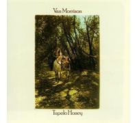 Tupelo Honey Original recording reissued, Original recording remastered Edition by Morrison, Van (1997) Audio CD
