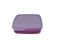 Tupperware Fiambrera to Go Clevere Pause de 550 ml, con separador Eco+, color morado
