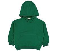 TupTam Sudadera con Capucha Infantil Unisex Algodón Orgánico Suave y Transpirable, Botella Verde Uni, 122/128