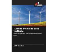 Turbina eolica ad asse verticale: Analisi dei profili alari, scenario attuale dell'energia eolica
