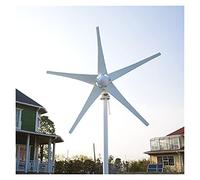 turbina eólica, Turbina de viento pequeño Turbina de viento 12 / 24V Opción Generador de viento Controlador de carga, Funcionamiento suave(Free Controller,6 BLADES 800W_24)