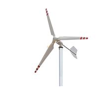 Turbina eólica Vertical 2kW 24V 48V Generador de turbina viento Axis horizontal a Mppt Controlador fuera del inversor la cuadrícula Energía alternativa(Turbine Only,3_48V_1000W)