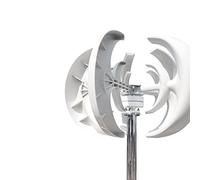 Turbina eólica Vertical de 800 W 12 V 24 V Generador de Viento de Eje Vertical Pequeño Molino de Viento Energía Libre con Controlador de Carga MPPT (Color : White, Size : MPPT Controller_12V