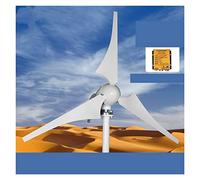 Turbinas eólicas, Generador de turbinas de viento 60 0w 800w 1000w New Energy Horizontal Wind Turbine Generator 12V 24V 3/5 Blades Windmill Free Mppt Controlador(MPPT Controller,24V,3)
