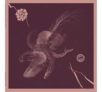 Turner,Aaron & Jon Mueller - Now That You've Found It [Vinilo]