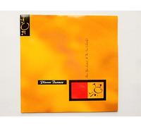 Turner, Pierce Have You Looked At The Sun Lately 7" Beggars Banquet BEG231 EX/EX 1989 picture sleeve