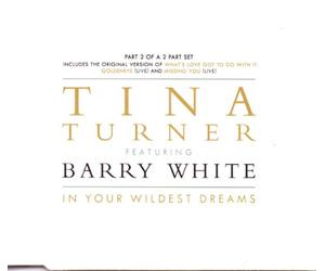 Turner, Tina - In Your Wildest Dreams