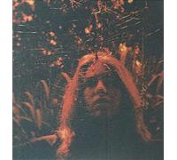Turnover - Peripheral Vision [Vinilo]