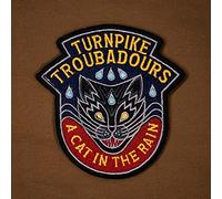Turnpike troubadours - A cat in the rain