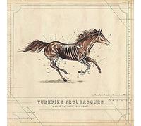 Turnpike Troubadours - A Long Way from Your Heart (Double LP) [Vinilo]
