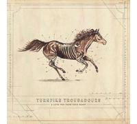Turnpike Troubadours A Long Way from Your Heart (Vinyl) 12" Album