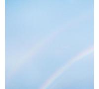 Turnstile - NEVER ENOUGH [Vinilo]