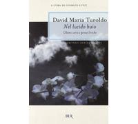 Turoldo David M. - Nel Lucido Buio