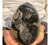 Turtle Back Stone Egg Shape Dragon Crystal Crack SpecimenHome Office Hallway Decoration Gift Home Decor(410-500g)