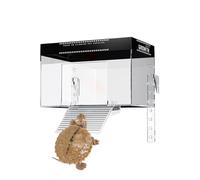 Turtle Basking Dock, Pet Turtles Tank Basking with Lid, Display Enclosure, Reptile Resting Land Terrapin Enclosures Cage for Balcony, Restaurant, Observation, Clear