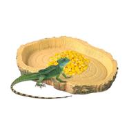 Turtle Feeding Dish, Reptile Water Food Bowl, Portable NonToxic Feeder for Chameleon, Bearded Dragon, Lizard 2 Pack, Terrarium Use and Your Reptile Pets, 11x8x1cm Brown