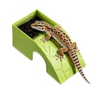 Turtle Food Water Bowls, Reptile Food Dish, Terrarium Feeding Accessory, Natural Style Habitat Ornament, Bearded Dragon Horned Frogs Spiders Geckos Shrimp Turtles Leopard Chameleons