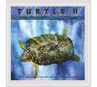 Turtle II Healing Native Flute Music