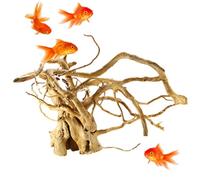 Turtle Tank Wood Árbol Raíz - Ramas De Madera Terrario | Decoración De Madera Deriva Reptiles Sólidos | del Tanque De Madera Raíz De Madera | Decoración De Terrario De Planta De Árbol Natural,