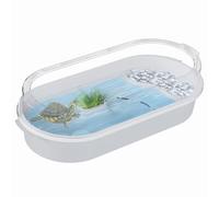 Turtle Terrarium - tanque transparente para bebé tortuga, hábitat de reptil para oficina, 4 zonas multifuncionales, descansar plataformas para lesterrapins, cangrejos de río, lescangrejos