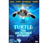 Turtle: The Incredible Journey [USA] [DVD]