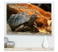 Turtles and Tortoise / UK-Version (High Quality Premium Wall Calendar 2026 DIN A2 landscape),CALVENDO 12 Month Wall Calendar: Beautiful Photos of turtles on land and water