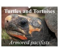 Turtles and Tortoises - Armored pacifists (Wall Calendar 2027 DIN A3 landscape), CALVENDO 12 Month Wall Calendar: Oldest and most original of all reptiles