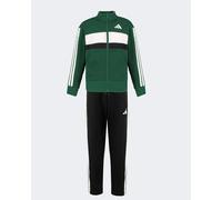 Tuta Deportiva adidas 3 Stripes Tiberio Full Zip Junior Verde Pile KZ0100