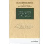 Tutela Declarativa Especial: Procesos Civiles Especiales