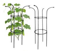 Tutor para Jardín para Plantas Trepadoras Soportes estables y decorativos | Enrejado con Tope de Flor y Seta para Clemátide Pitaya Pepino Hortensias Jazmín Potus