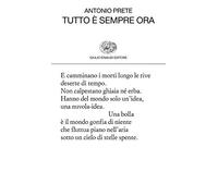 Tutto è sempre ora (Collezione di poesia)