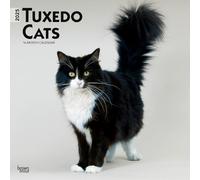 Tuxedo Cats 2025 12 X 24 Inch Monthly Square Wall Calendar Plastic-Free