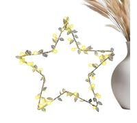 Tuxuseo Cadena de luces para interiores - Regulación del brillo de luz ligera - Cadena de luces para interiores - Para familia, adultos, hombres, mujeres, vacaciones, paredes, exteriores, hogar