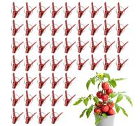 Tuxxjzm Clips de injerto para tomates, paquete de 50 abrazaderas de injerto de horticultura, soportes de escalada de, conexiones para vid de verduras, conector de jardinería