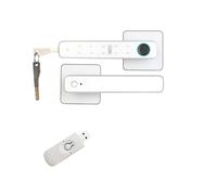 Tuya-cerradura de puerta inteligente Digital, tarjeta de llave con huella dactilar, teclado, entrada de llave, cerradura electrónica, casa, apartamento(F3S-Silver Gateway)