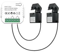 Tuya Smart Life - Medidor de energía WiFi con WiFi, 80 A con 2 abrazaderas CT Smart Home Energy Monitor