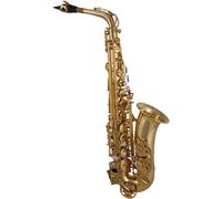Tuyama® TAS-135 Saxofón alto en Es + maletín de alta calidad + boquilla Soundman D5 + guía de saxofón 'Alto Saxofón Basics' (set de iniciación)