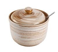 TuYines Azucarero de cerámica con tapa y cuchara, tarros de especias de cerámica, tarro de especias con tapa para azúcar, sal, queso, especias (estilo F)