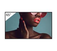 TV-Gerate FW-65BZ40L 65INCH PRO NUEVO