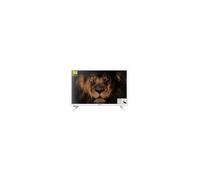 TV Nevir 24 DLED - 24RD2-B - HD 12v - Blanca