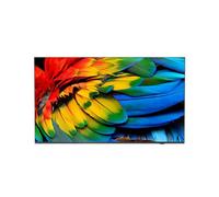 TV Philips LED 58HFL6214U/12 58" 4K Ultra HD Android TV Chromecast WiFi HDR Hotel