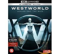 TV SERIES - WESTWORLD - TEMPORADA 1 -4K-