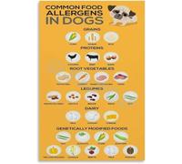 TVBQTEQS Poisonous Human Foods for Dogs Guide Toxic Food Chart Educational Poster for Kitchen Pet Owner Home Decor(Framed,08x12inch(20x30cm))