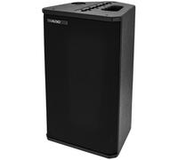 TW AUDiO M10 L